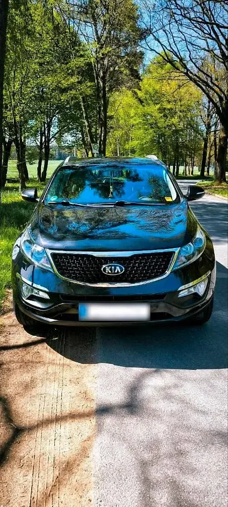 Gebraucht Kia Sportage Platinum 185 PS (136 kW) 2016 Schwarz SUV