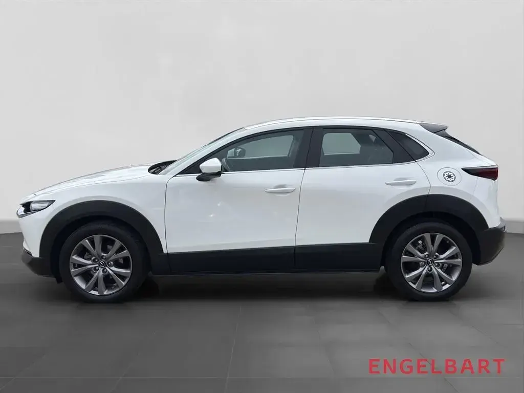 Gebraucht Mazda CX-30 Selection 122 PS (89 kW) 2023 Weiss SUV
