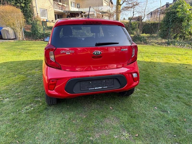 Gebraucht Kia Picanto Edition 7 67 PS (49 kW) 2019 Rot Kleinwagen