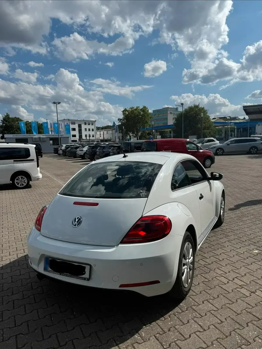 Gebraucht VW Beetle 105 PS (77 kW) 2016 Weiß Kleinwagen