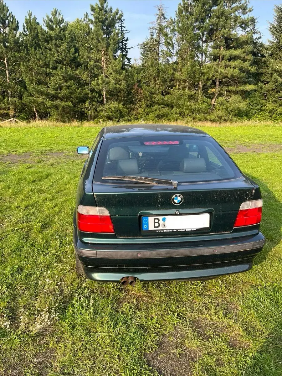 Gebraucht BMW 323 170 PS (125 kW) 1999 Grün Coupé