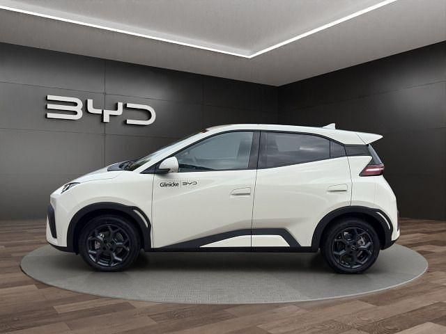 Neu BYD Dolphin Surf Comfort 114 kW (156 PS) 2026 Weiß Kleinwagen