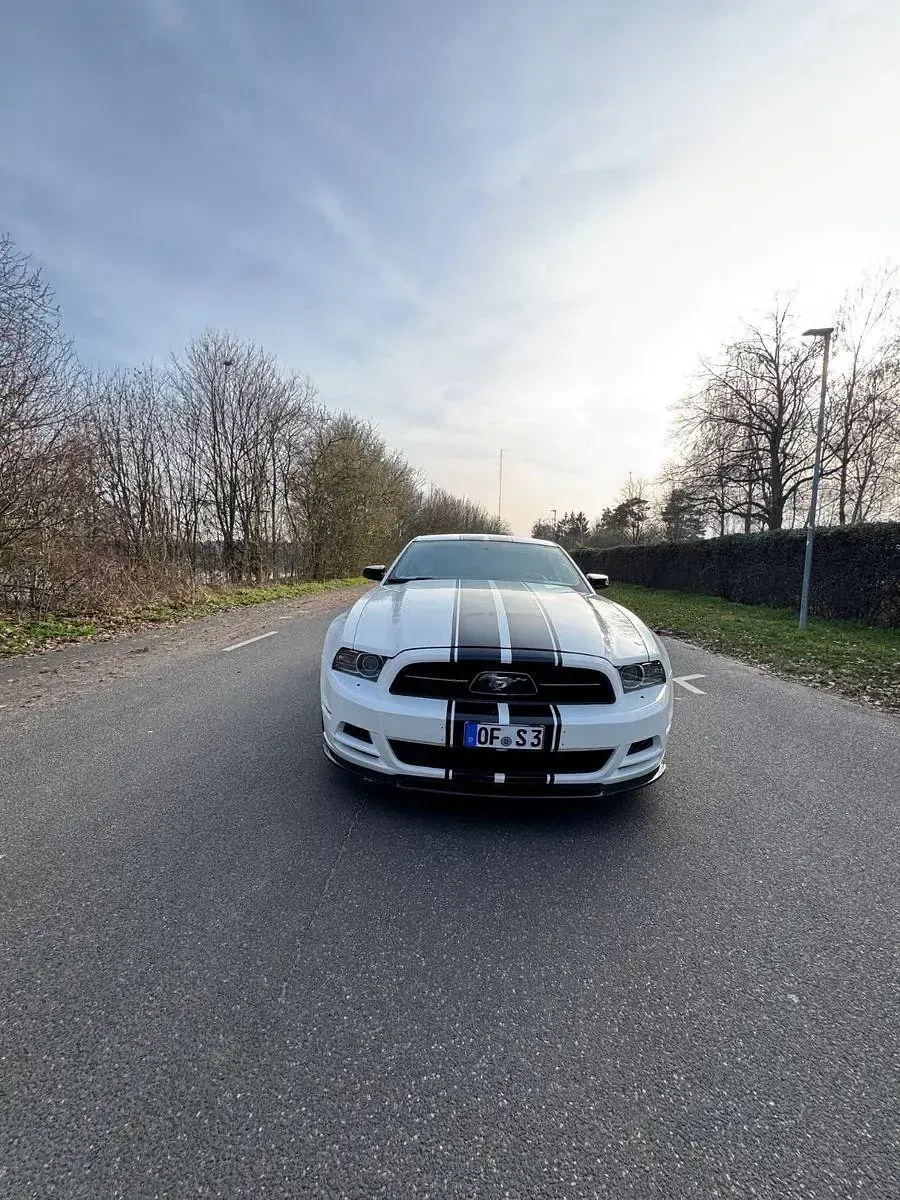 Occasion Ford Mustang 305 ch (224 kW) 2013 Blanc Coupé