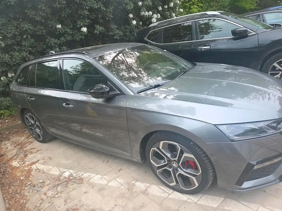 Gebraucht Skoda Octavia RS 246 PS (180 kW) 2024 Grau Kombi