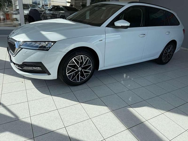 Gebraucht Skoda Octavia Ambition 150 PS (110 kW) 2022 Moonweiß perleffekt Kombi