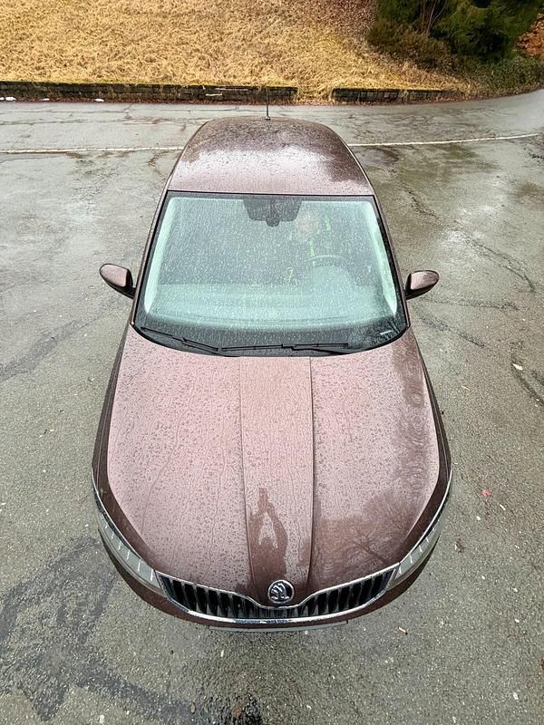 Gebraucht Skoda Fabia Style 110 PS (80 kW) 2017 Braun Kleinwagen