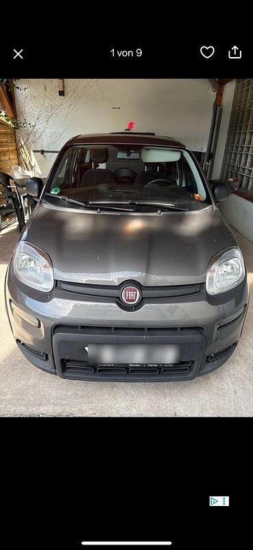 Grau Gebraucht 2024 Fiat Panda Kleinwagen | 9.900 € (Guter Preis) - Bild 1/1