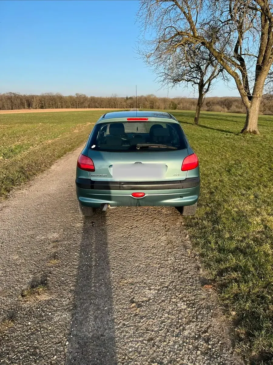 Gebraucht Peugeot 206 60 PS (44 kW) 2001 Grün Kleinwagen