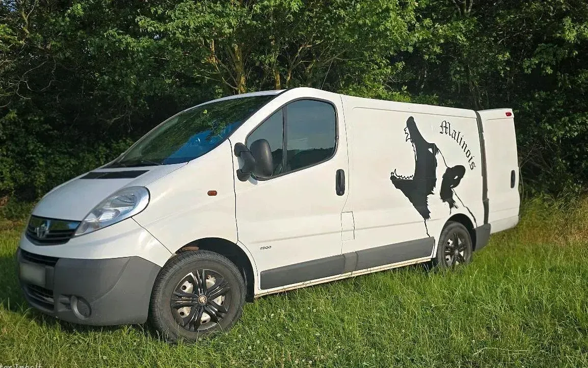 Gebraucht Opel Vivaro-e Combi 114 PS (83 kW) 2026 Weiß Van / Kleinbus