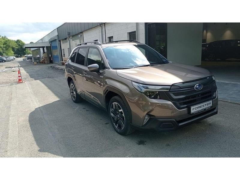 Neu Subaru Forester Exclusive+ 136 PS (100 kW) 2025 Braun SUV