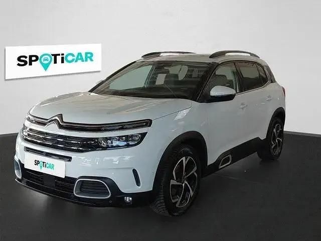 Weiß Gebraucht 2019 Citroën C5 Aircross Shine SUV | 17.490 € (Guter Preis) - Bild 1/4