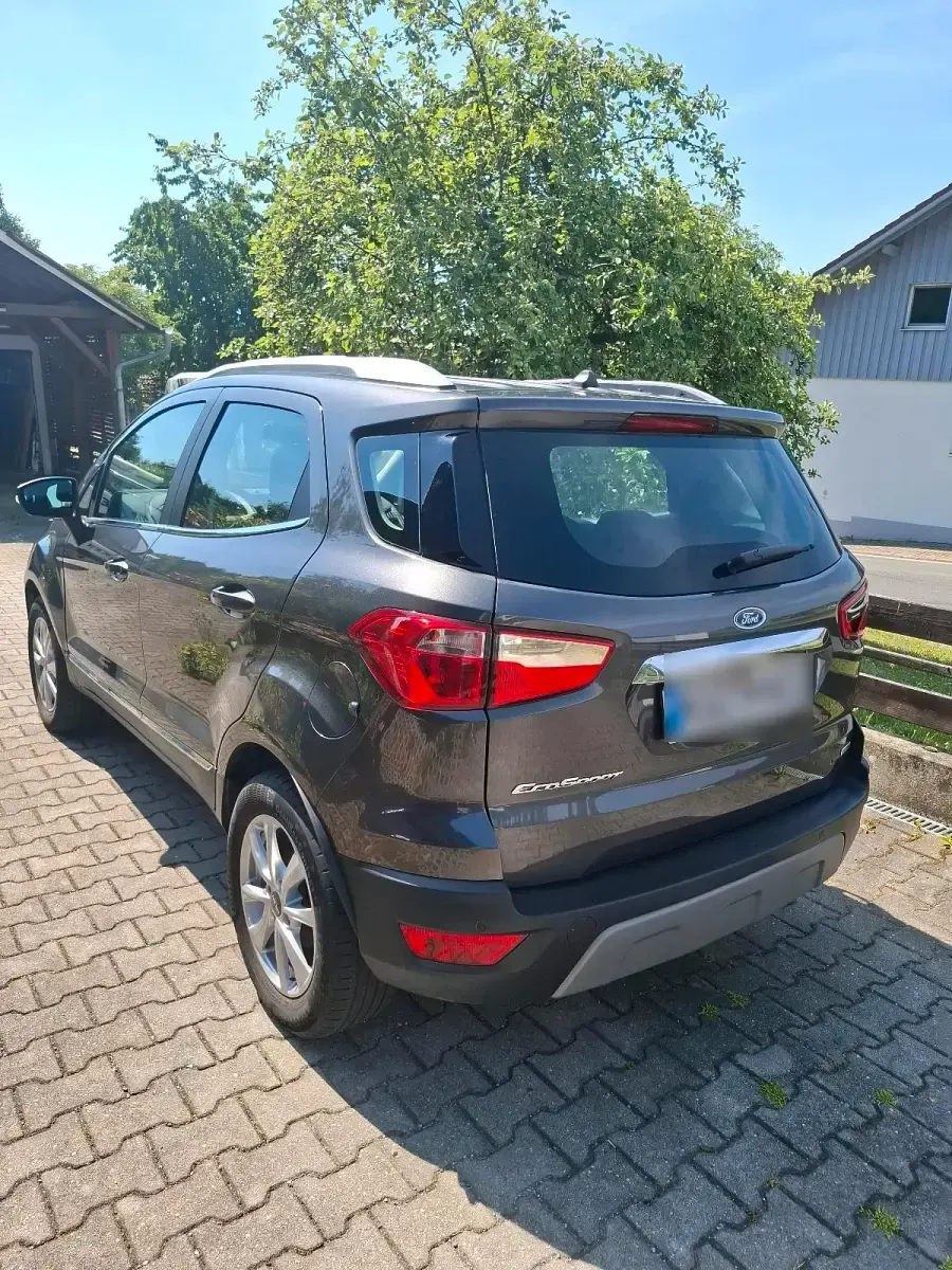 Gebraucht Ford Focus Sport 125 PS (91 kW) 2018 Grün SUV