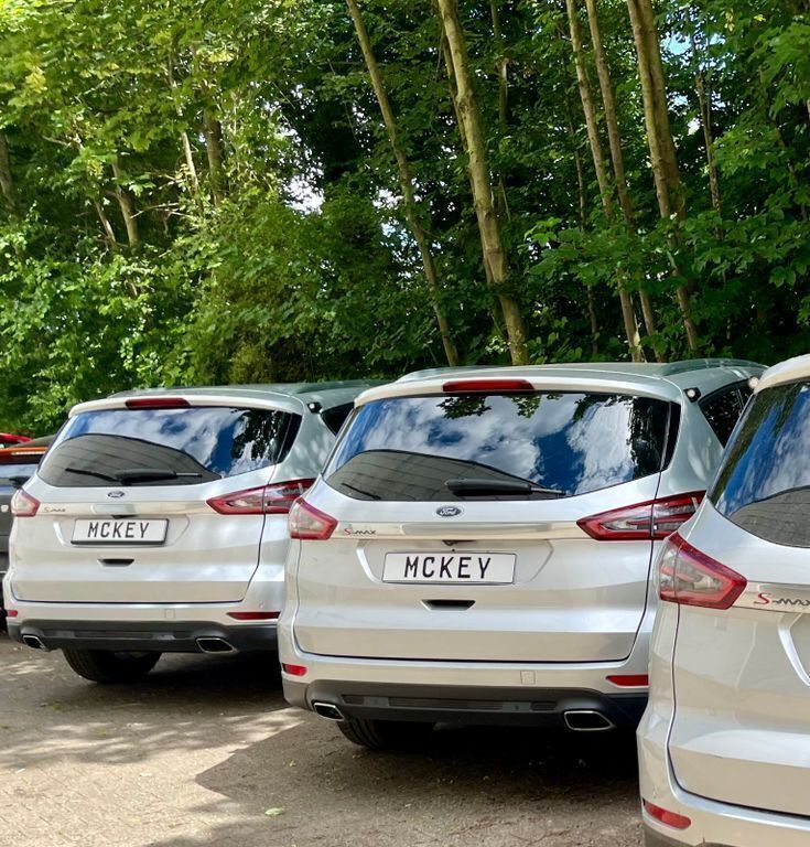 Gebraucht Ford S-MAX Business Edition 190 PS (139 kW) 2019 Silber Van / Kleinbus