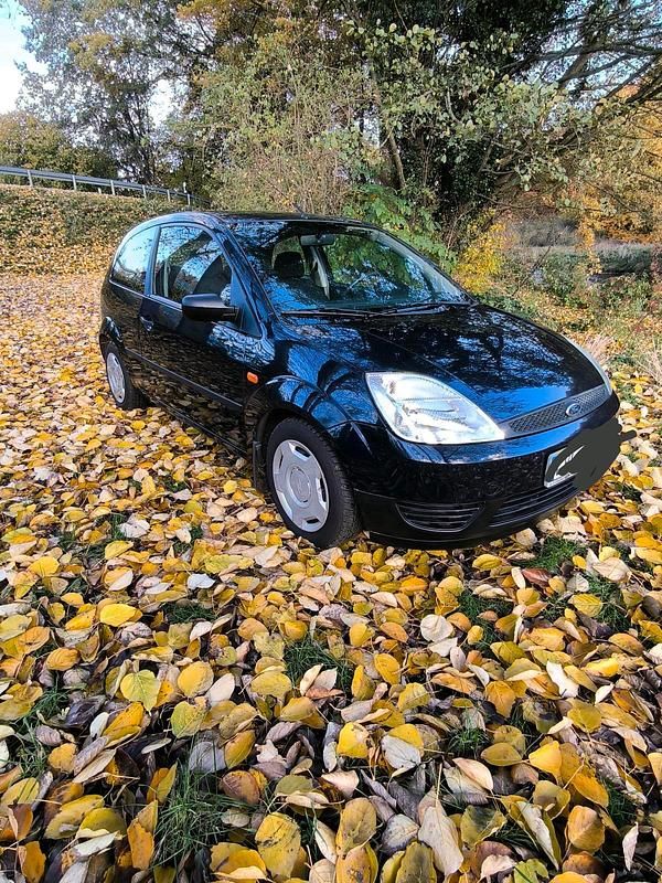 Gebraucht Ford Fiesta 60 PS (44 kW) 2004 Blau Kleinwagen