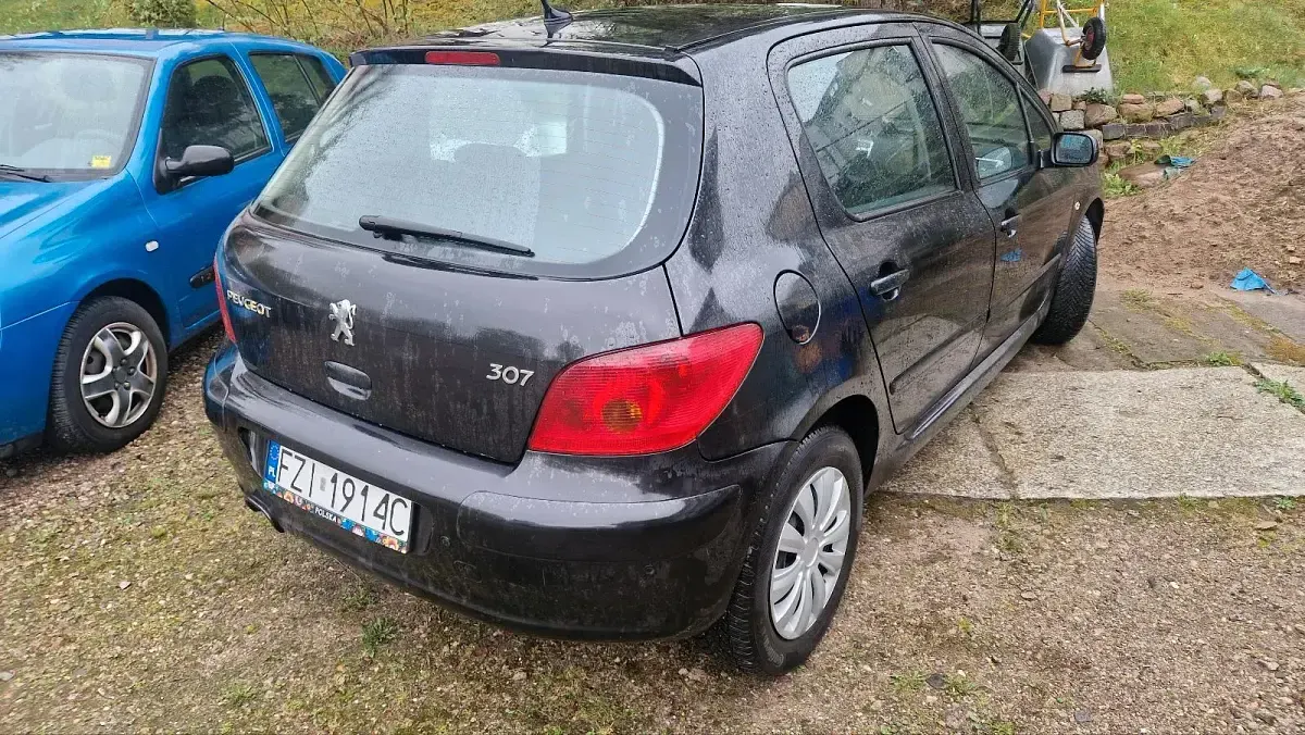 Gebraucht Peugeot 307 110 PS (80 kW) 2004 Blau Kombi