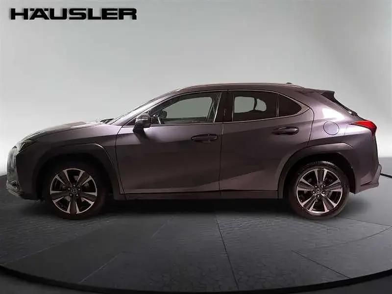 Second-hand Lexus UX 2023 Gri SUV