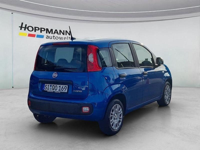 Gebraucht Fiat Panda 65 PS (47 kW) 2025 Italia blau Kleinwagen