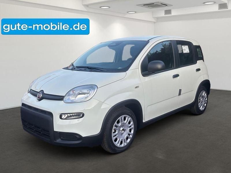 Weiß Neu 2024 Fiat Panda Kleinwagen | 14.990 € (Fairer Preis) - Bild 1/4