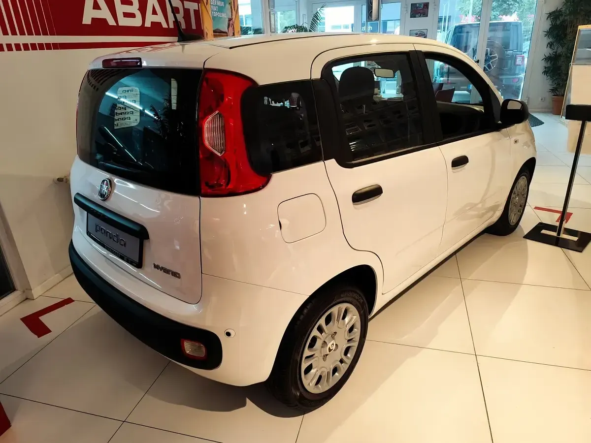 Neu Fiat Panda Icon 65 PS (47 kW) 2026 Weiß Kleinwagen