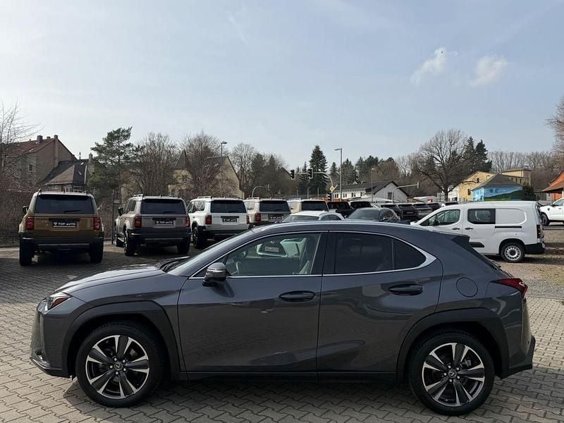 Gebraucht Lexus UX 250h 184 PS (135 kW) 2024 Grau SUV