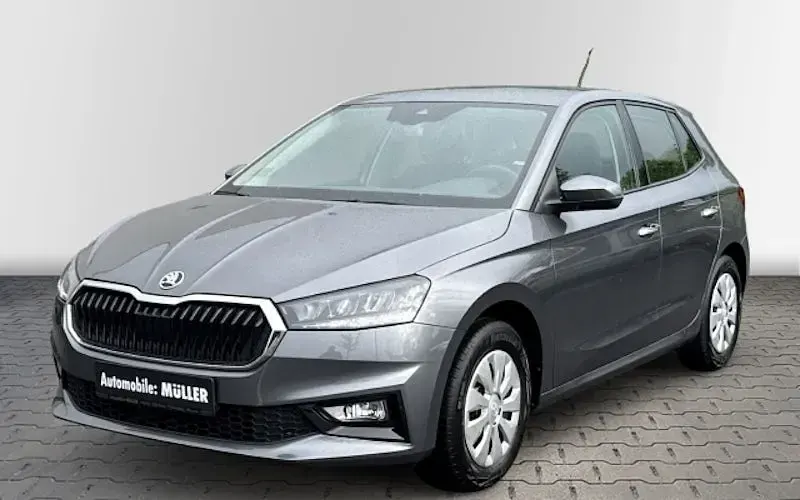 Gebraucht Skoda Fabia Selection 95 PS (69 kW) 2024 Grau Kleinwagen