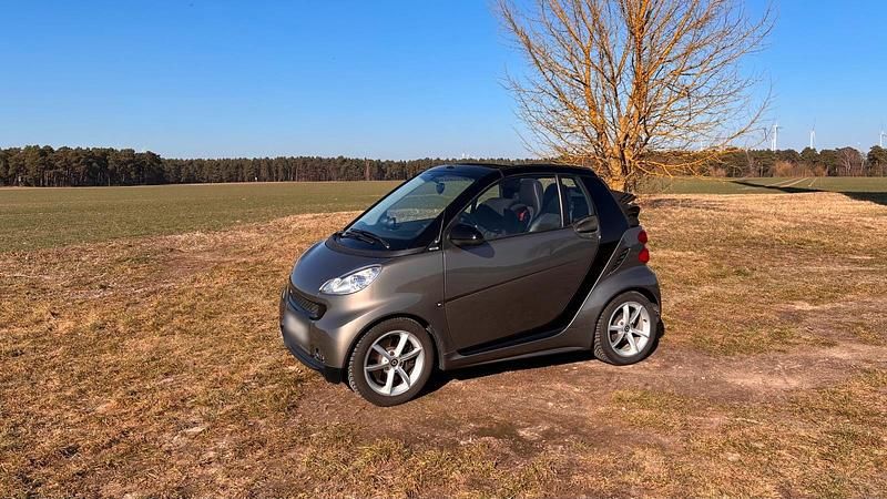 Gebraucht Smart ForTwo Cabrio 54 PS (39 kW) 2011 Braun Cabrio