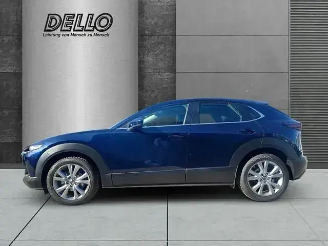 Gebraucht Mazda CX-30 Selection 186 PS (136 kW) 2023 Andere SUV