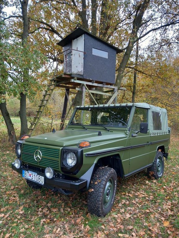 Grün Gebraucht 1992 Mercedes G250 SUV | 50.000 € - Bild 1/4