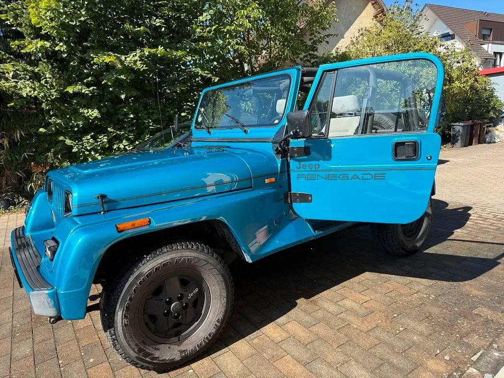 Gebraucht Jeep Wrangler 121 PS (88 kW) 1994 Blau SUV
