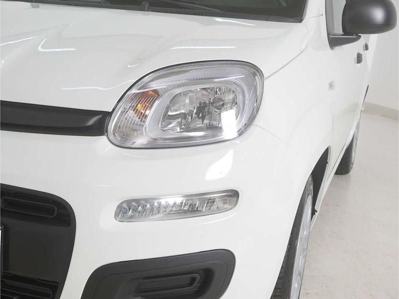 Neu Fiat Panda Icon 69 PS (50 kW) 2025 Weiss Limousine