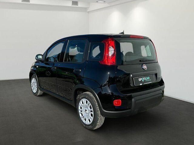 Gebraucht Fiat Panda 69 PS (50 kW) 2024 Schwarz Kleinwagen
