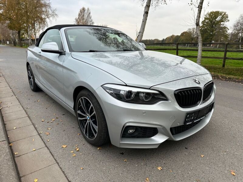 Silber Gebraucht 2020 BMW 230 Luxury Line Cabrio | 25.499 € (Fairer Preis) - Bild 1/4
