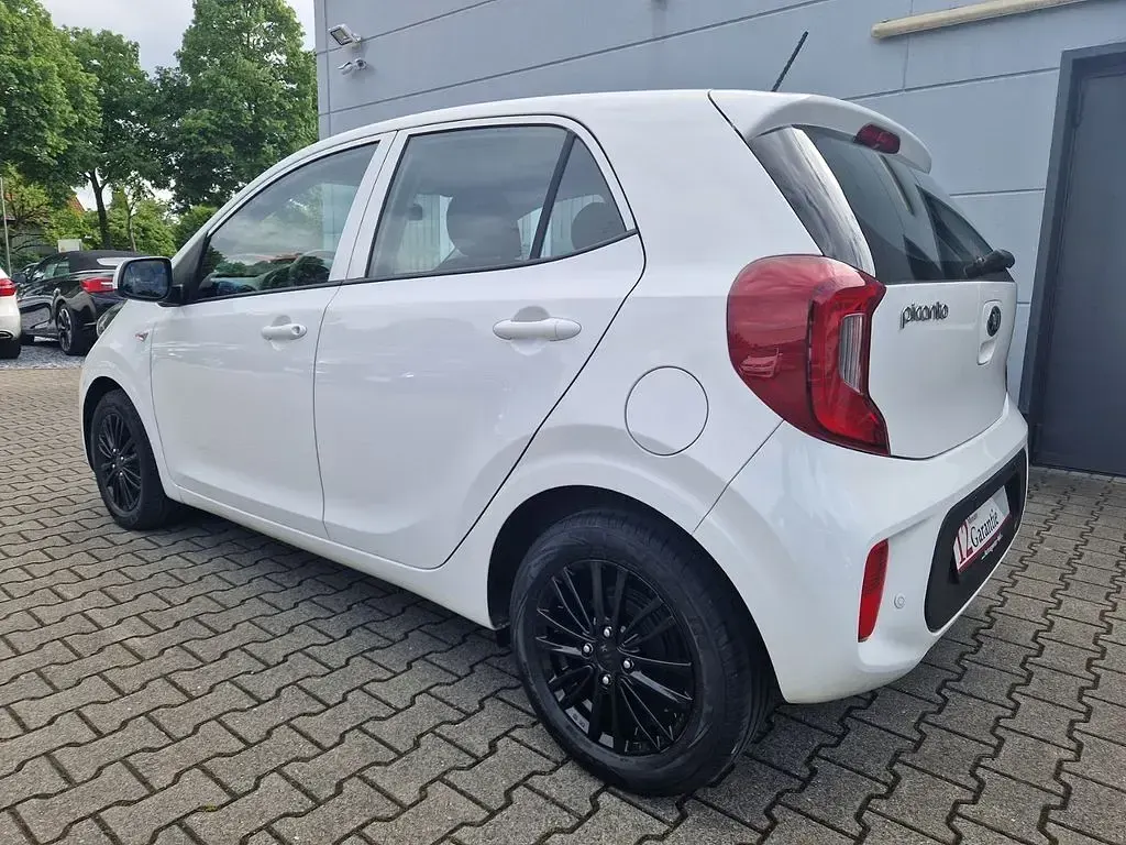 Gebraucht Kia Picanto Edition 7 84 PS (61 kW) 2019 Weiß Kleinwagen