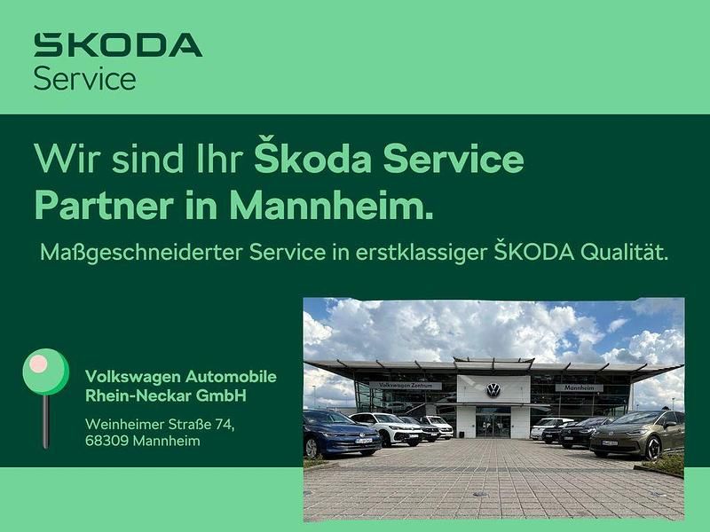 Gebraucht Cupra Born 150 kW (204 PS) 2022 Vapor grau Kleinwagen