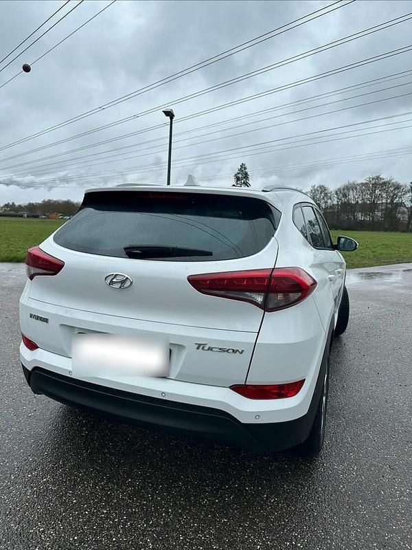 Gebraucht Hyundai Tucson 116 PS (85 kW) 2016 Weiß SUV