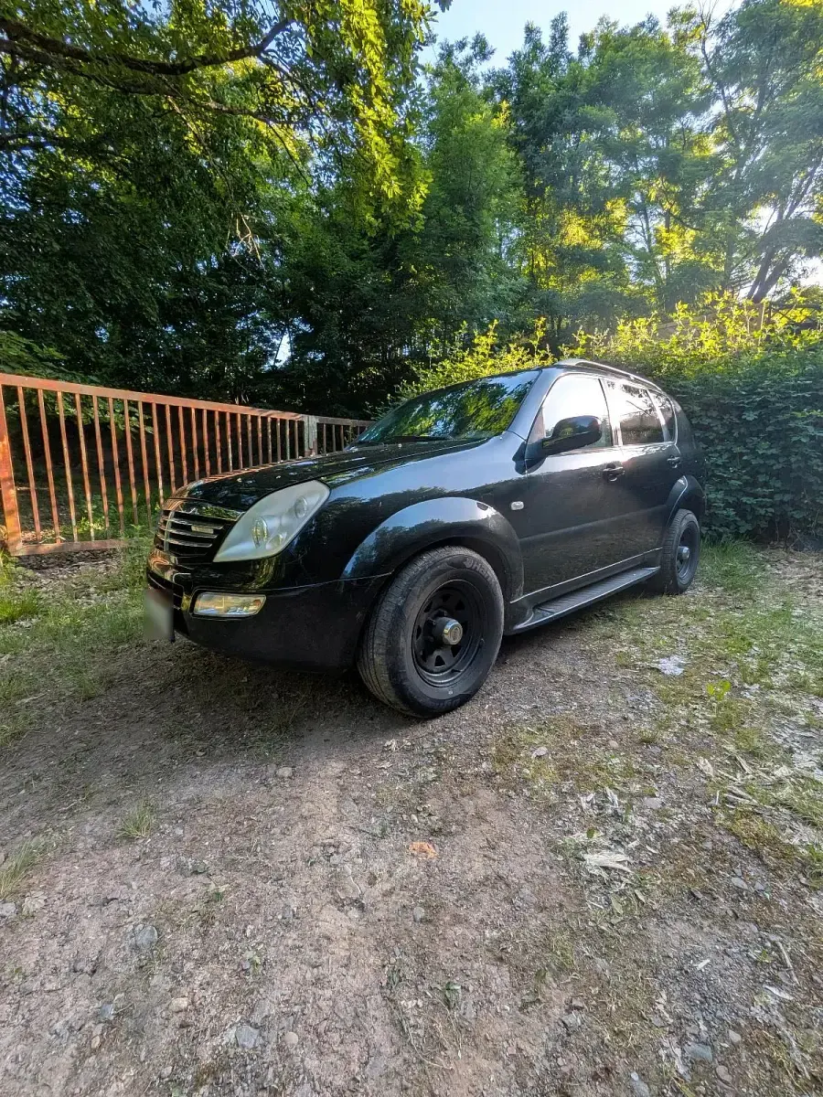 Gebraucht SsangYong Rexton 2005 Schwarz SUV