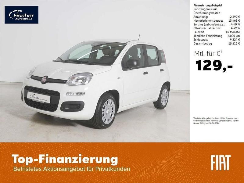 Neu Fiat Panda Icon 69 PS (50 kW) 2025 Weiss Limousine