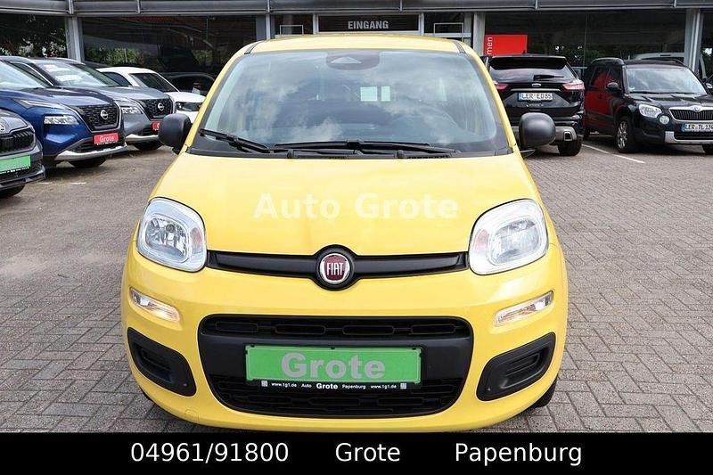 Neu Fiat Panda 69 PS (50 kW) 2025 Gelb Kleinwagen