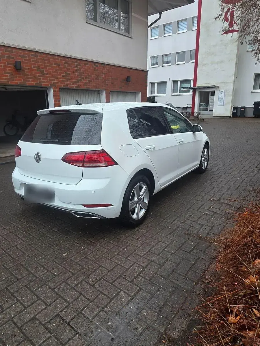 Gebraucht VW Golf VII Comfortline 116 PS (85 kW) 2019 Weiß Limousine