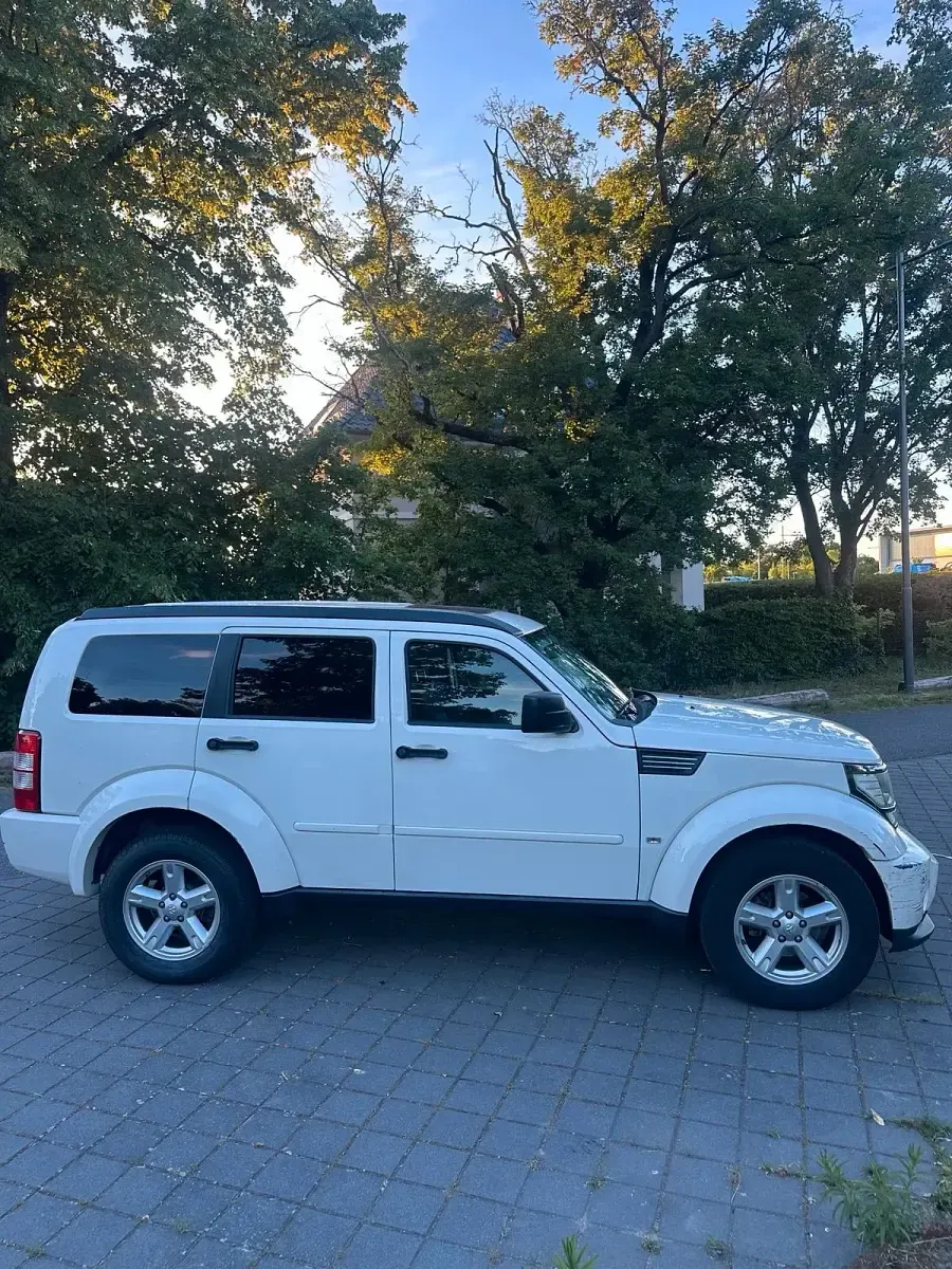 Gebraucht Dodge Nitro 177 PS (130 kW) 2008 Weiß SUV