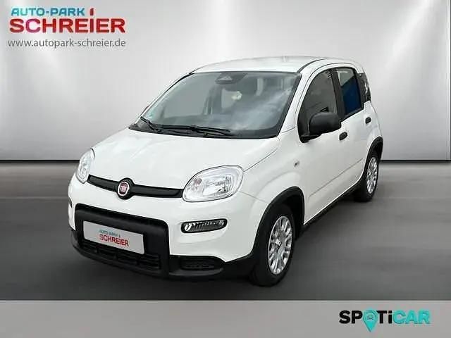Weiß Gebraucht 2025 Fiat Panda Kleinwagen | 16.495 € (Etwas zu teuer) - Bild 1/4