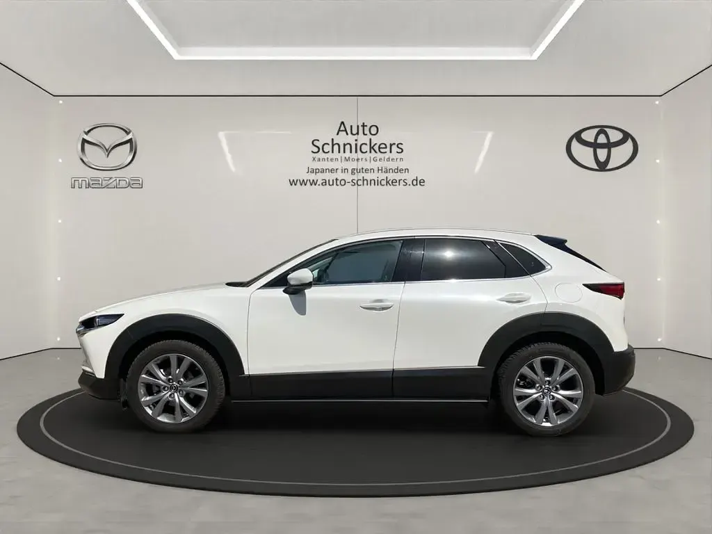 Gebraucht Mazda CX-30 Sky 140 PS (102 kW) 2025 Weiss SUV