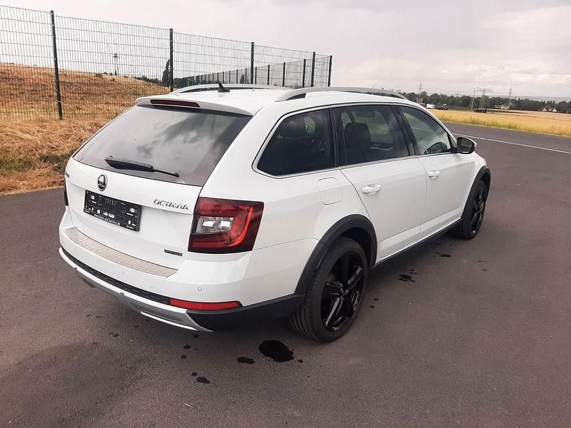 Gebraucht Skoda Octavia Scout 184 PS (135 kW) 2019 Weiß Kombi