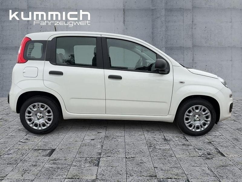Neu Fiat Panda Icon 69 PS (50 kW) 2025 Weiß Limousine