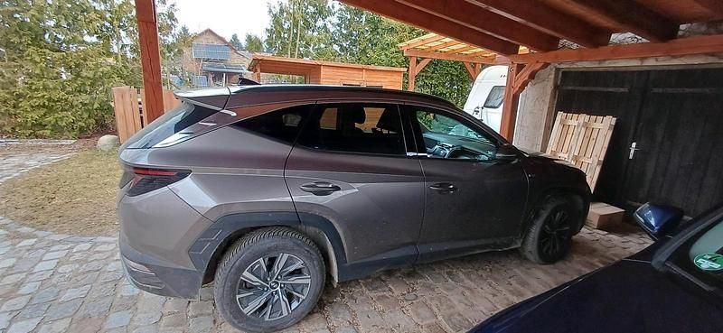 Gebraucht Hyundai Tucson Blackline 150 PS (110 kW) 2023 Braun SUV