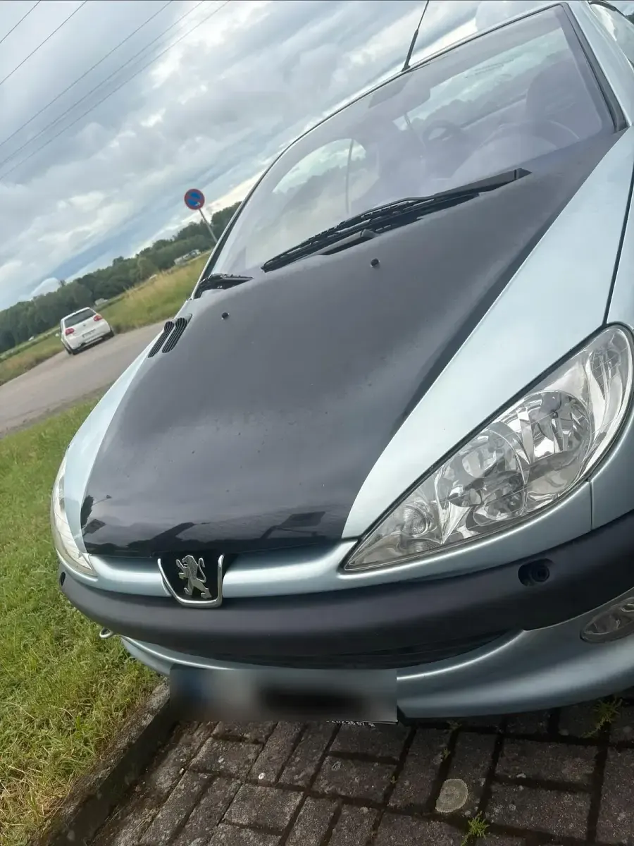 Gebraucht Peugeot 206 CC 109 PS (80 kW) 2002 Cabrio