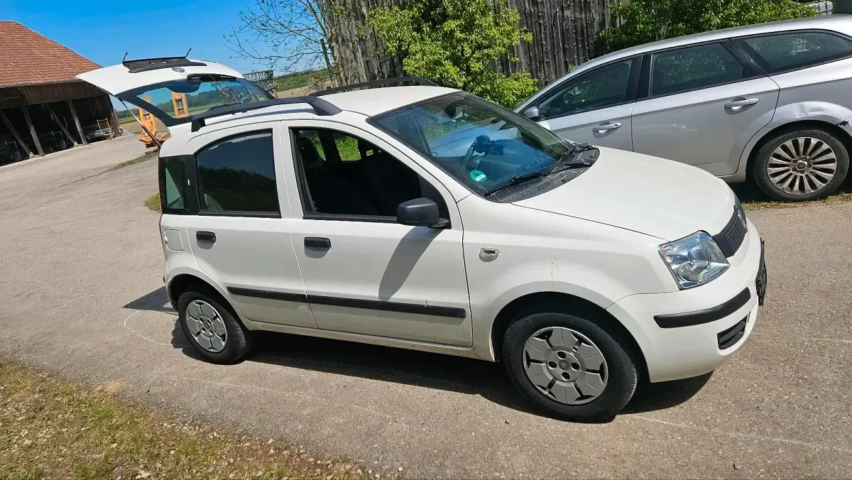 Gebraucht Fiat Panda 55 PS (40 kW) 2009 Weiß Kleinwagen