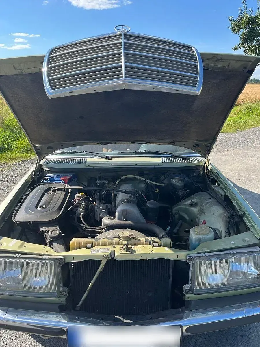 Gebraucht Mercedes 230 109 PS (80 kW) 1978 Grün Coupé