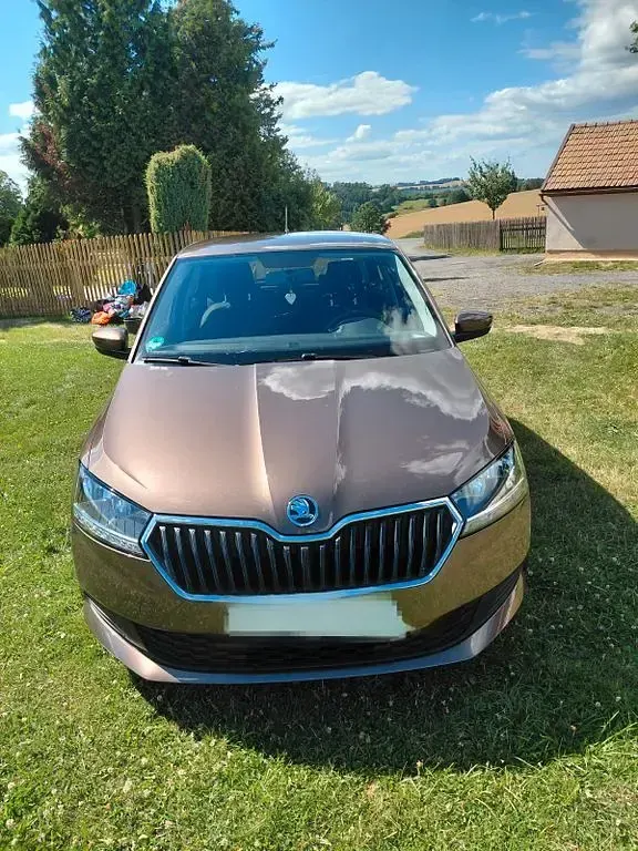 Gebraucht Skoda Fabia Active 60 PS (44 kW) 2019 Braun Kleinwagen