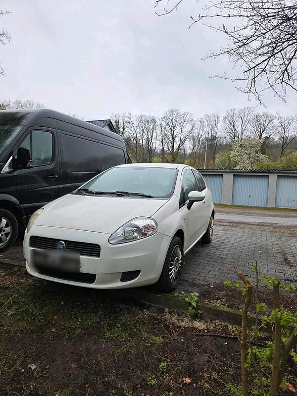 Gebraucht Fiat Punto 2009 Weiß Kleinwagen